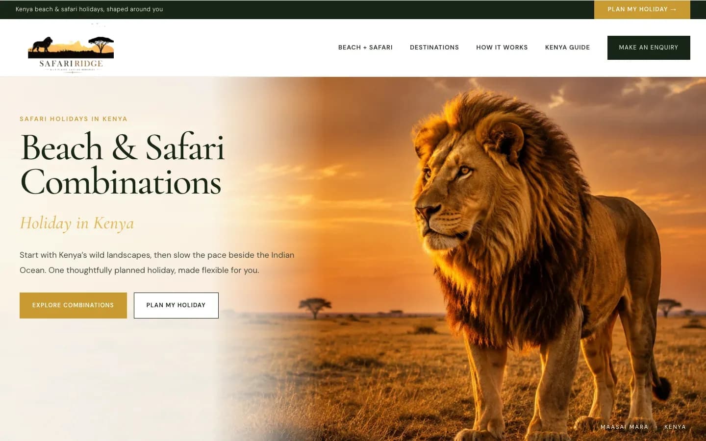 Three WordPress Landing Pages with Working Forms and Verified Conversion Tracking — image 2